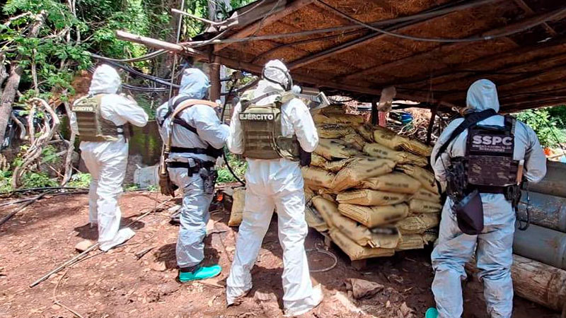 Destruyen 4 laboratorios clandestinos en Michoacán y Guerrero; repelen agresión armada 