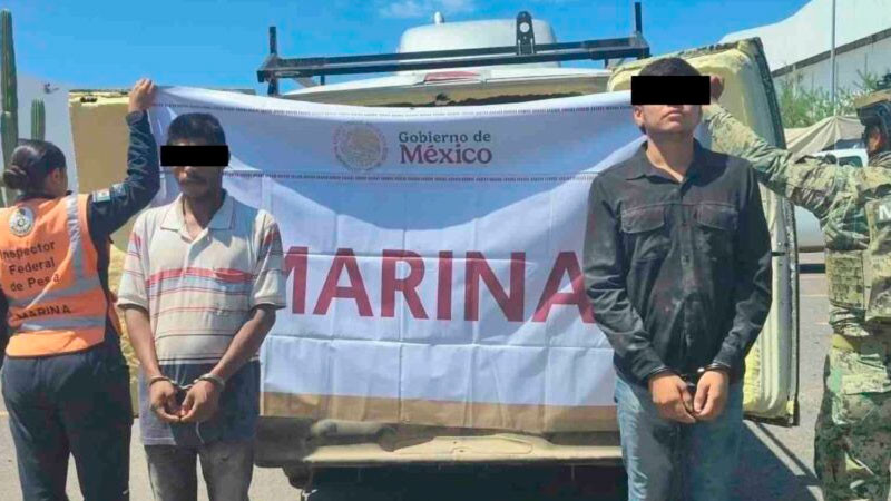 Aseguran 200 pastillas de opioide sintético y munición en BCS; hay dos detenidos 