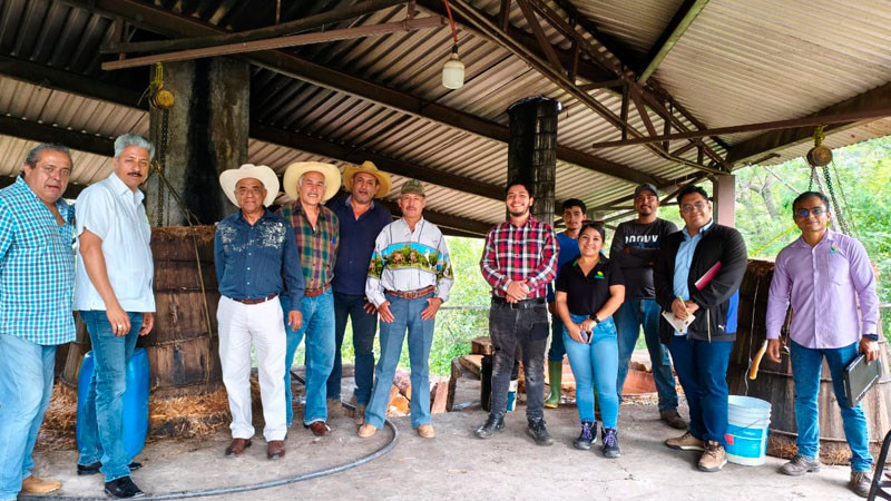 Ayuntamiento impulsa la certificación del mezcal moreliano 