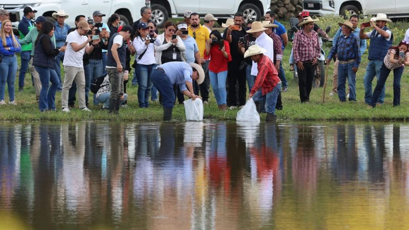 Gobierno de Morelia apoya a productores de pescado de las tenencias 