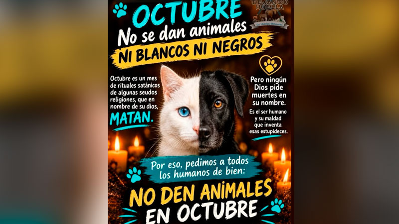 "Dejando huella" pide no dar en adopción animales blancos o negros en octubre; suelen ser sacrificados en rituales 