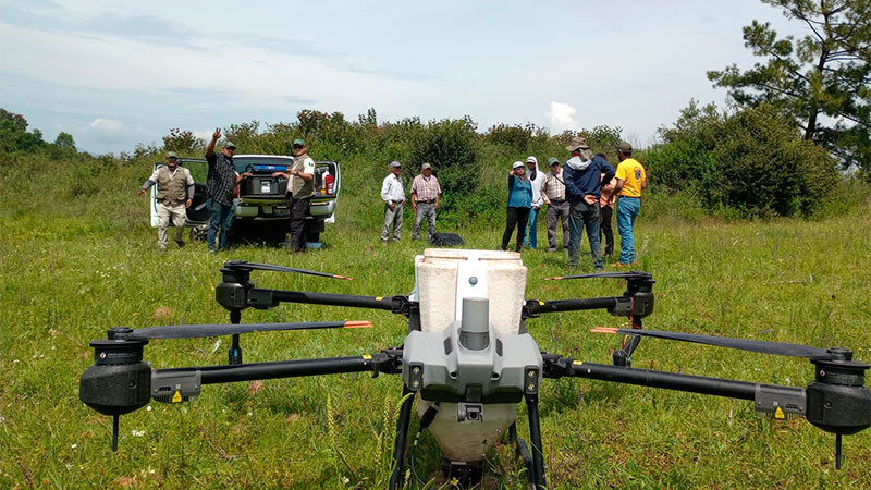 Michoacán dispersa 660 mil semillas con drones para restaurar zonas forestales de difícil acceso 