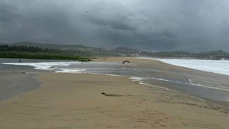 Cierran 26 playas de Los Cabos ante riesgo por huracán Polo 