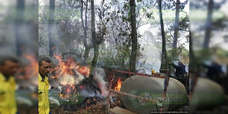 Incendio arrasa en el Bosque del Parque Nacional de Uruapan - Foto 0 