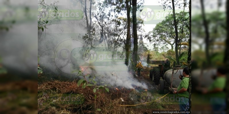 Incendio arrasa en el Bosque del Parque Nacional de Uruapan - Foto 1 