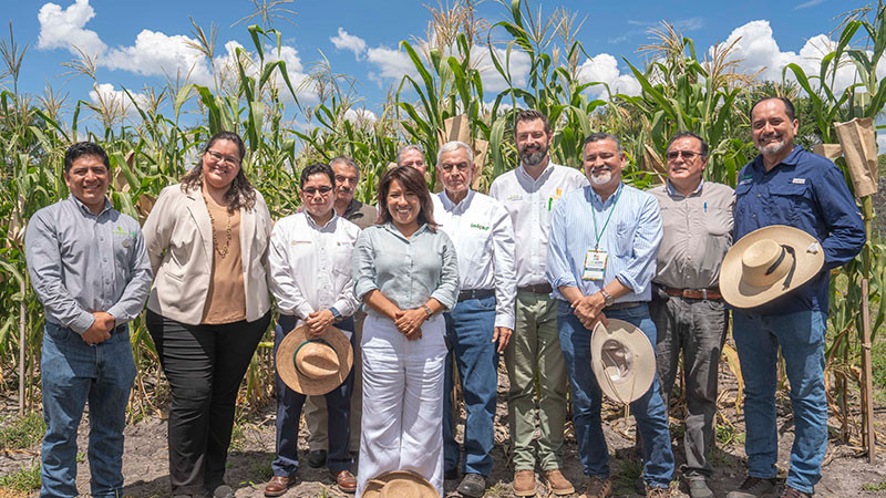 AGRICULTURA y CIMMYT suman esfuerzos para transformar los sistemas agroalimentarios 