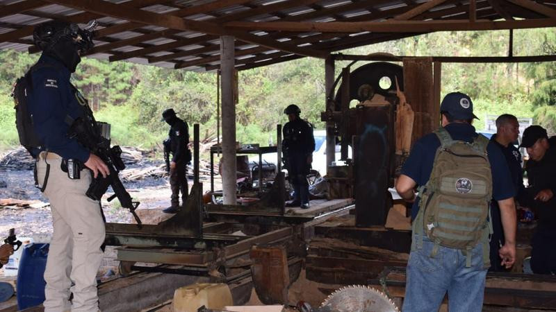 Incautan equipo de aserradero y dos camiones tras diligencias judiciales en Madero, Michoacán 