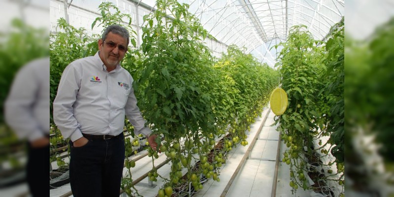 Optimiza Sedrua programas para el campo michoacano 