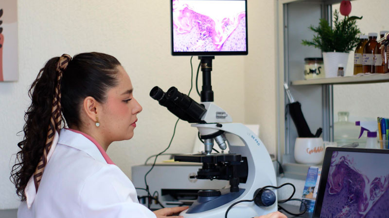 Con 119 cuerpos académicos vigentes, UMSNH consolida su capacidad de investigación 