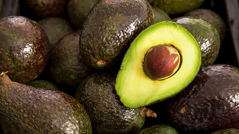 AGRICULTURA y SAT fortalecen la cadena de exportación de aguacate a Estados Unidos 