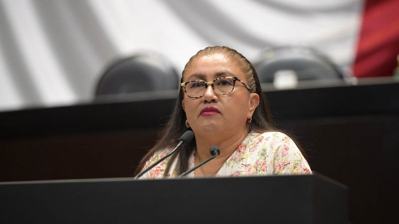 Diputada morenista propone reconocer la “invasión masculina” en el transporte como violencia contra las mujeres 