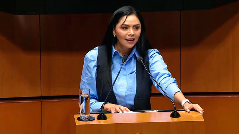 Reforma contra piratería no busca limitar la libertad de expresión: Araceli Saucedo 