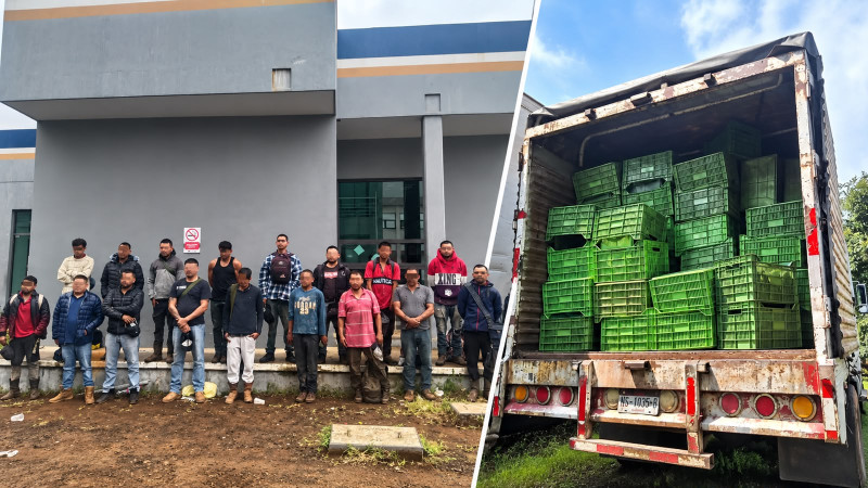 Cae banda de presuntos ladrones de aguacate: Aseguran a 20 personas con 195 cajas en huerta de Uruapan, Michoacán 