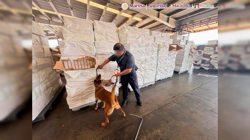 ¡La carga fantasma del tabaco! Hallan 10.5 millones de cigarros ocultos entre “vasos de vidrio” en el puerto de Lázaro Cárdenas, Michoacán 