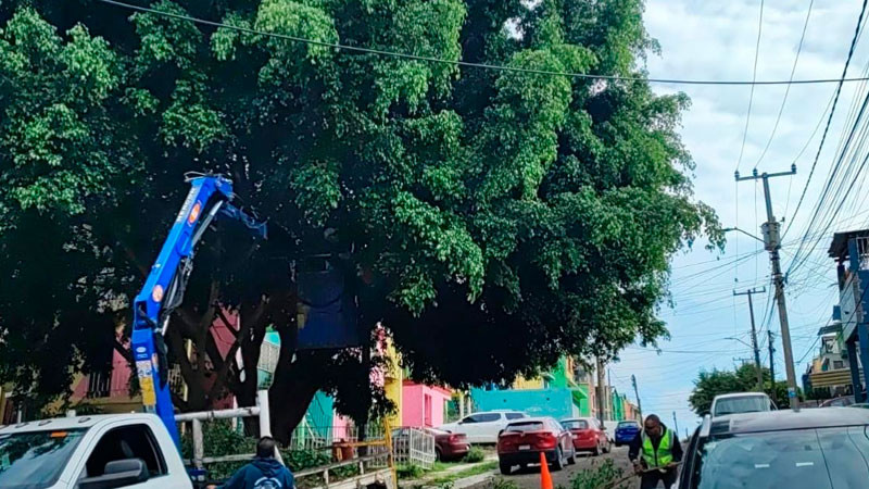 Gobierno de Morelia trabaja en el cuidado de áreas verdes y espacios públicos 