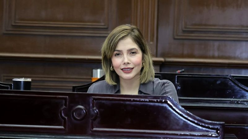 Propone Brissa Arroyo que violencia intrafamiliar se persiga de oficio  