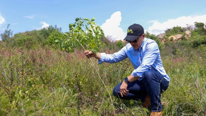 En Michoacán se protege la flora y fauna en la obra pública: Rogelio Zarazúa 