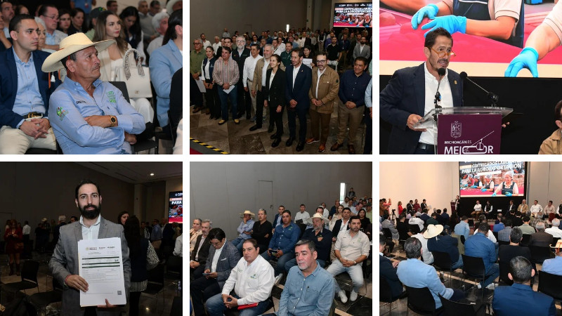  Michoacán impulsa el trabajo digno y la seguridad social en el sector aguacatero 