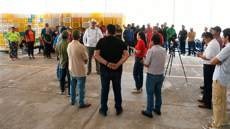 Gobierno del Estado pretende despojar a productores de mango de una empacadora en Múgica: Memo Valencia 