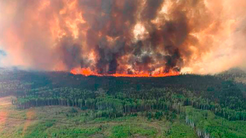 Incendios forestales consumen el sur de California 