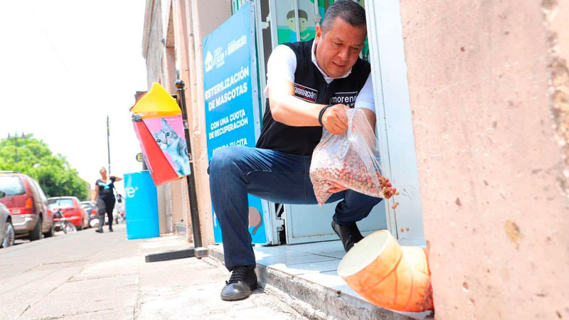 Juan Carlos Barragán un aliado permanente del cuidado y bienestar animal: Morelianos 