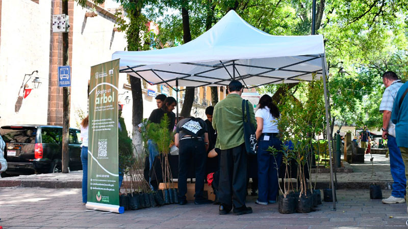 Gobierno Municipal lleva 'Adopta un Árbol' al Festival Internacional de Cine de Morelia 