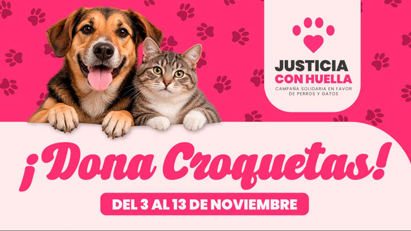 Poder Judicial de Michoacán inicia “Justicia con Huella” campaña solidaria en favor de perros y gatos 