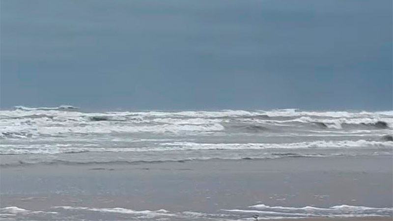 Muere turista de la CDMX tras ser arrastrado por la corriente en playa de Tamaulipas 