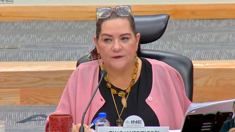 INE mantendrá actividades con normalidad ante cuestionamientos a su gestión: Taddei 