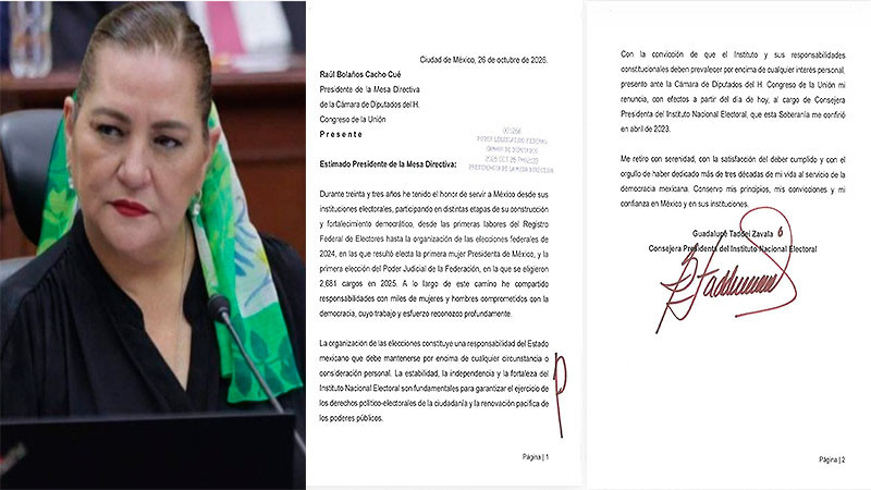 Cámara de Diputados recibe renuncia de Guadalupe Taddei al INE 