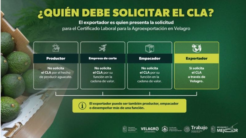 Bedolla aclara que huertas familiares de aguacate con menos de 5 hectáreas no están obligadas al Certificado Laboral