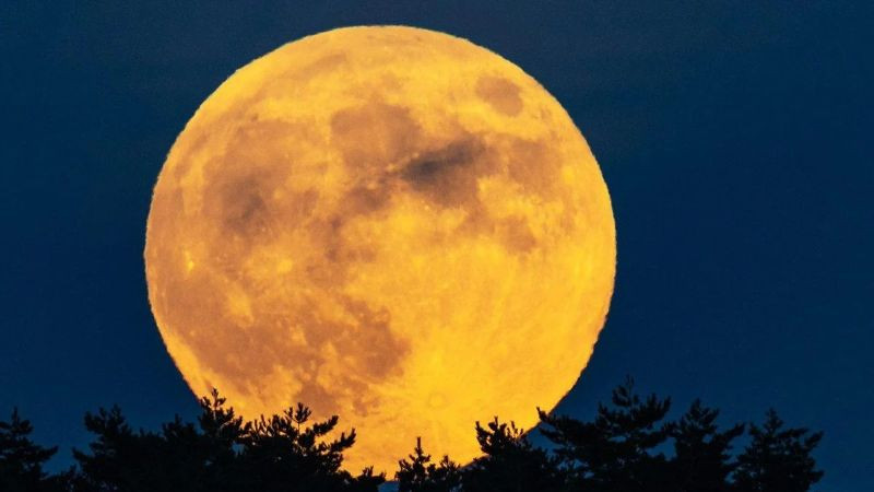 La Luna del Cazador iluminó el cielo durante la noche del domingo 