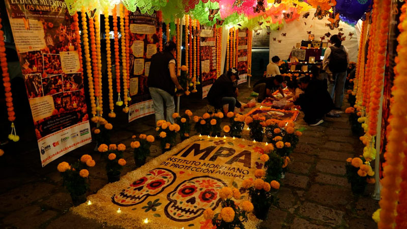 Gobierno de Morelia honra a los animalitos que dejaron huella en el corazón 