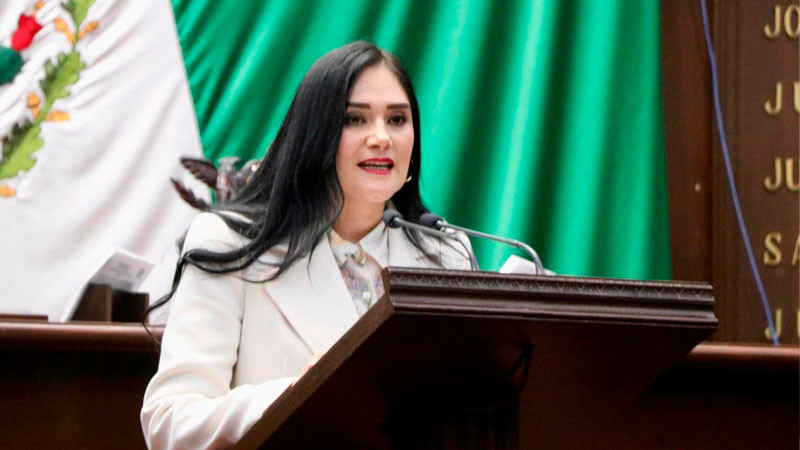 Propone Diana Espinoza, emplacamiento de origen para acabar con permisos irregulares 
