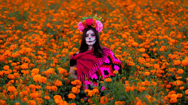 Semana de Noche de Muertos en Michoacán atraerá hasta un millón de visitantes: Bedolla 