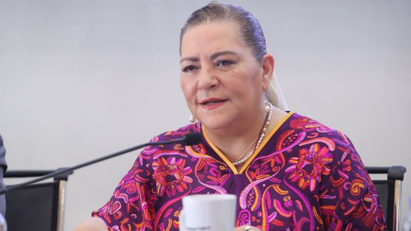 Ramírez Cuéllar exige investigar a Guadalupe Taddei y pide intervención de la FGR 