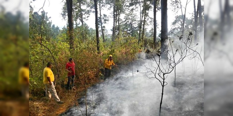 Urge PC a prevenir incendios forestales en esta temporada  