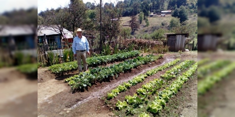 Más de mil 100 familias del campo, beneficiadas con gallineros: Sedrua 
