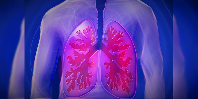 Científicos descubren que los pulmones producen sangre 