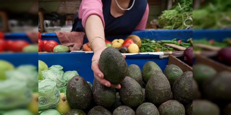 Aguacate, producto con mayor alza en su precio 