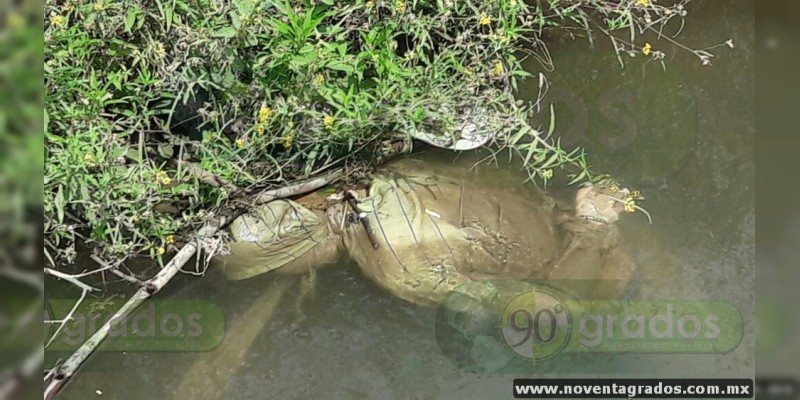 En canal de riego encuentran cadáver maniatado, en Lázaro Cárdenas, Michoacán - Foto 0 