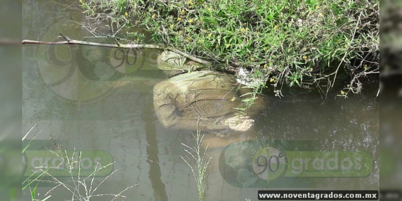 En canal de riego encuentran cadáver maniatado, en Lázaro Cárdenas, Michoacán - Foto 1 