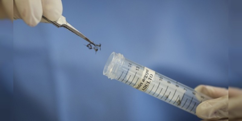 Iniciarán la Jornada Nacional contra el Dengue, Chikungunya y Zika en Michoacán 