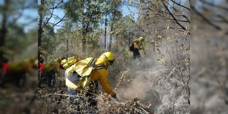 Liquidan incendios en 10 municipios michoacanos 