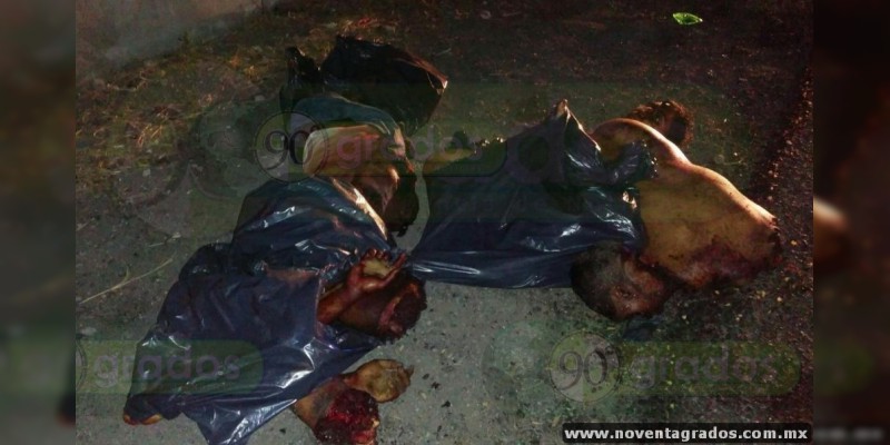 Abandonan cadáveres descuartizados de dos personas junto a carretera de Múgica, Michoacán - Foto 1 
