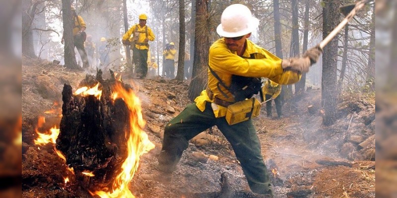 Cada día cientos de brigadistas combaten los incendios forestales en Michoacán  
