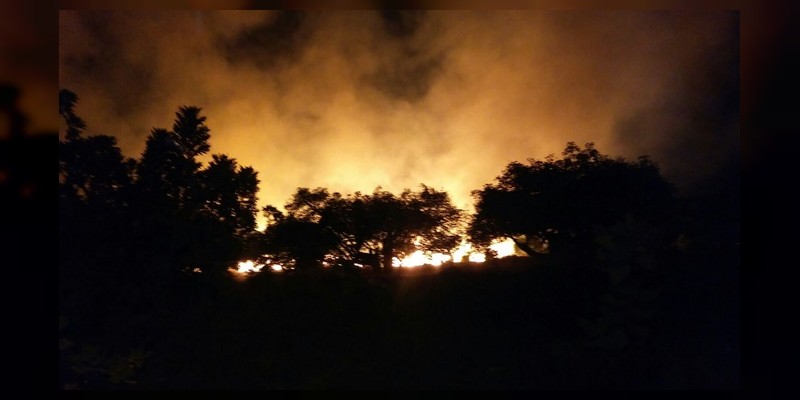Humo de incendios ahogan a Uruapan  - Foto 0 
