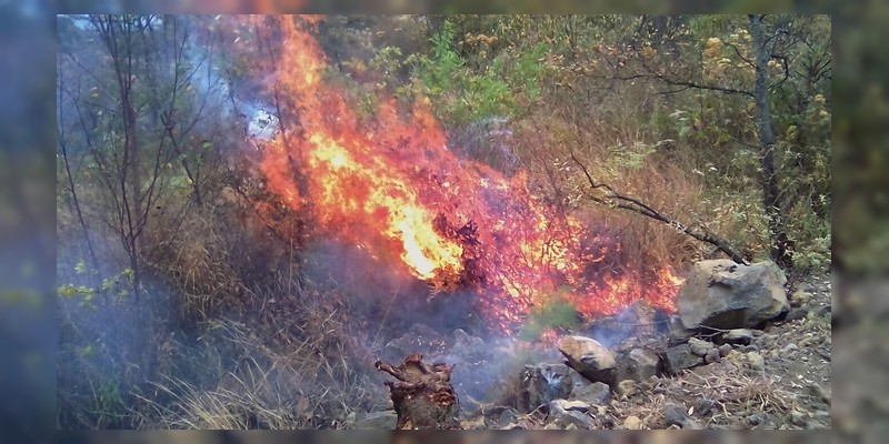 Humo de incendios ahogan a Uruapan  - Foto 1 