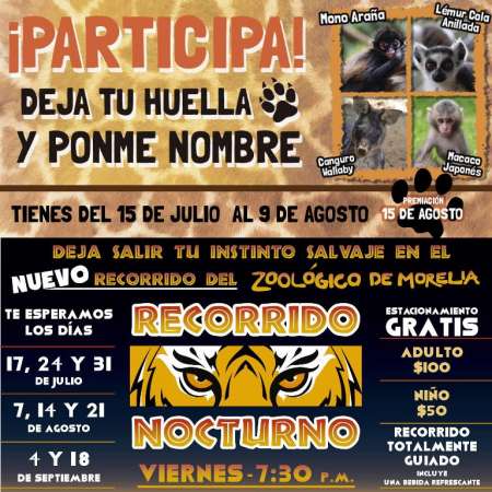 Zoológico de Morelia invita a ponerle nombre a animales 