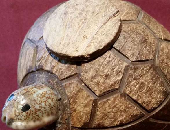 Continúa en Lázaro Cárdenas, Michoacán, la Expo Coco 2015 